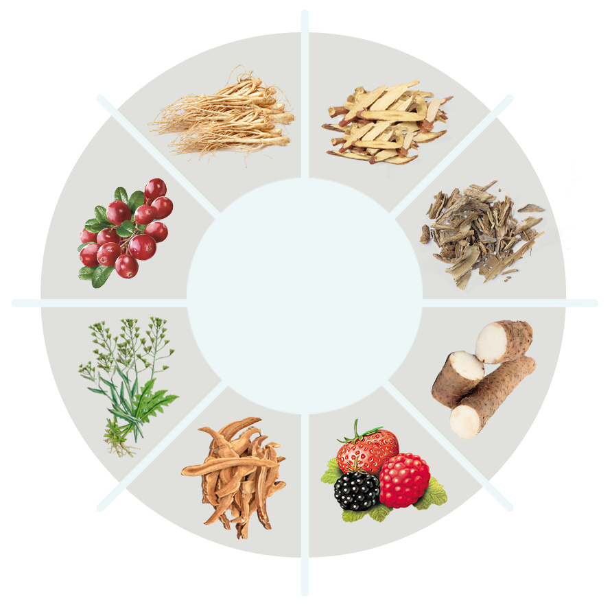 purdentix ingredients